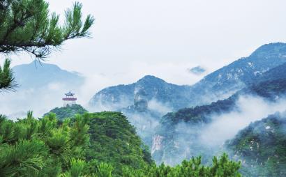全能问答平台-《神探夏洛克》是本格推理英剧吗?,专注解答您的问题